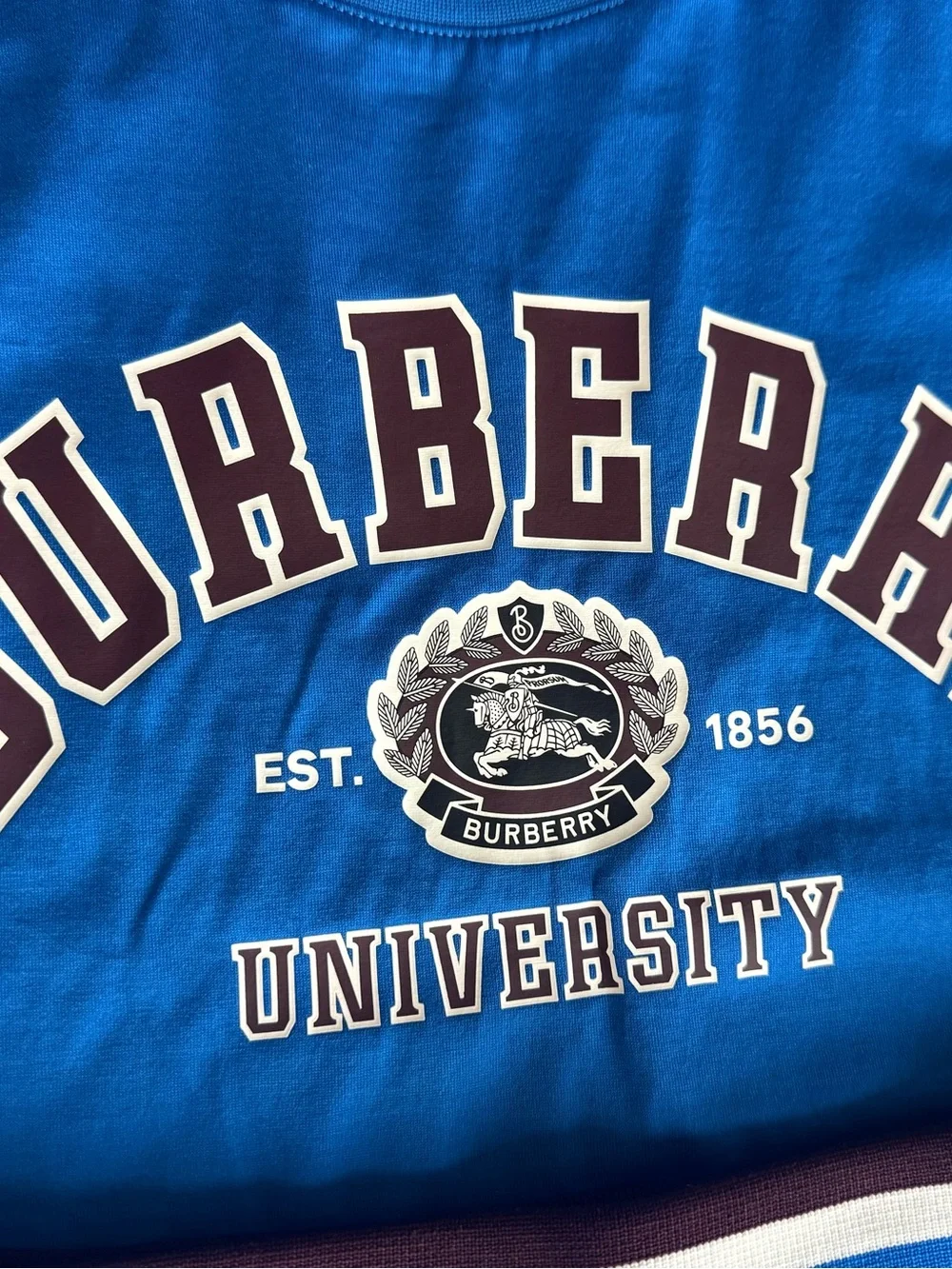 Burberry Blue 'University' Kids Set